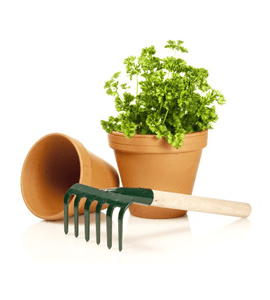 Hand Fork